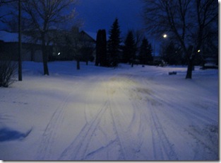 Down my street, 31 Jan 2012