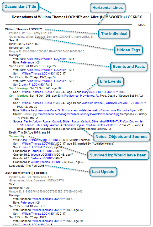 Everything Report: Information Area
